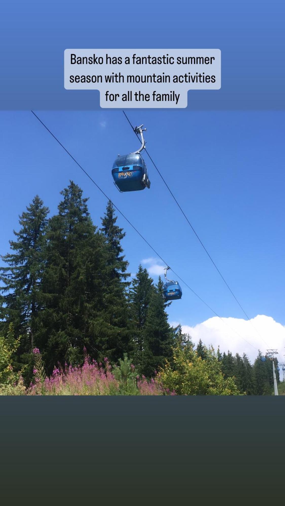 Jora - Total Chalet Bansko